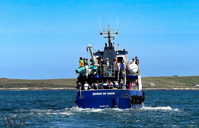 Donegal 12